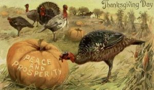 vintage Turkey w pumpkin